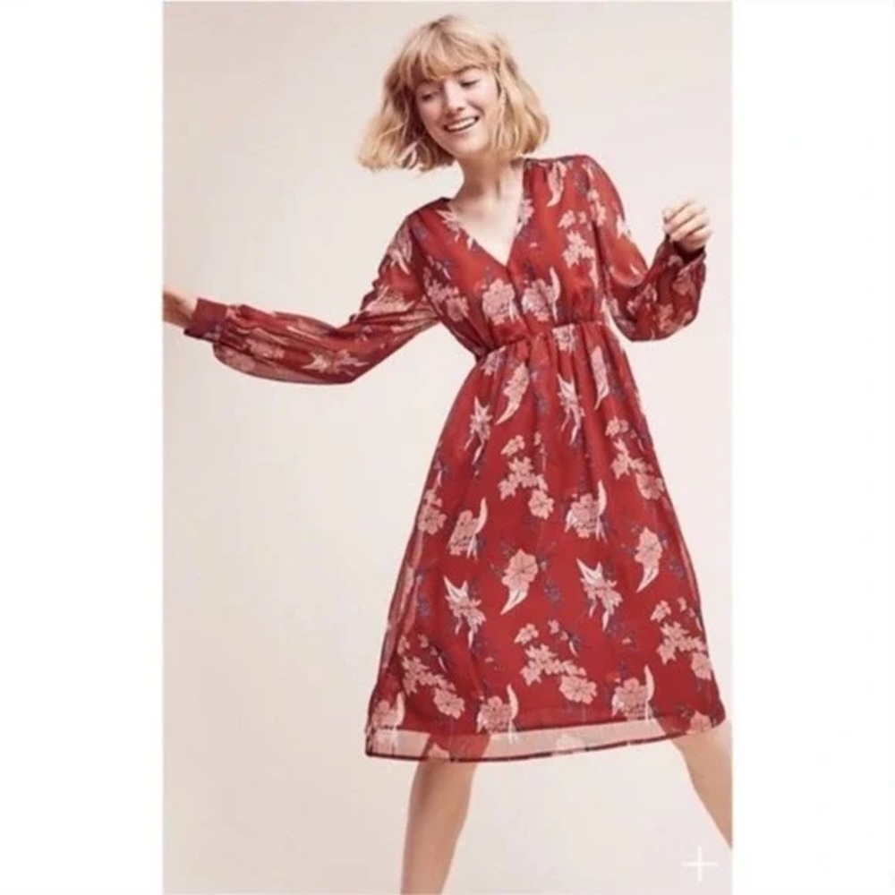 Anthropologie Dress sheer floral size 12